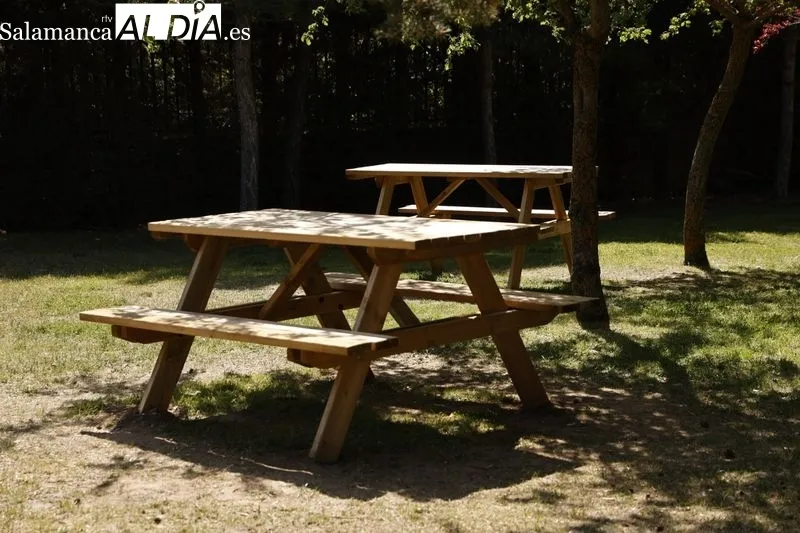 Transformación del Parque Botánico de Huerta Otea en un Centro Ambiental Integrado de energías renovables. Foto de David Sañudo