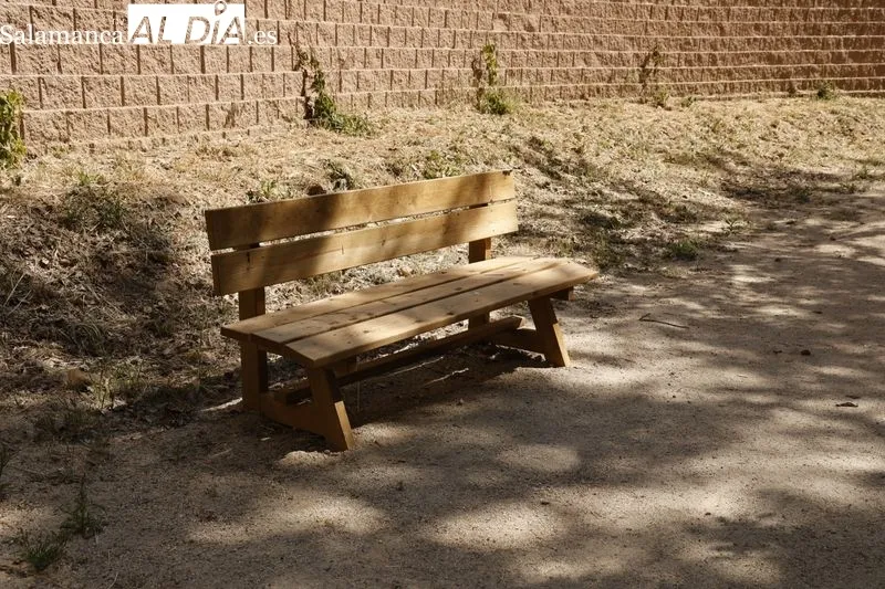 Transformación del Parque Botánico de Huerta Otea en un Centro Ambiental Integrado de energías renovables. Foto de David Sañudo