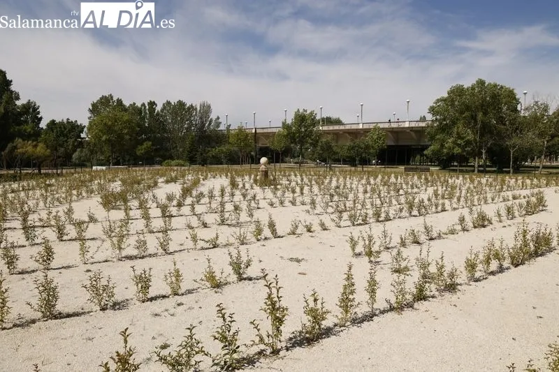 Transformación del Parque Botánico de Huerta Otea en un Centro Ambiental Integrado de energías renovables. Foto de David Sañudo
