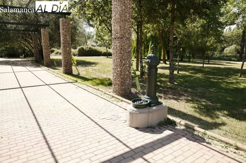 Transformación del Parque Botánico de Huerta Otea en un Centro Ambiental Integrado de energías renovables. Foto de David Sañudo