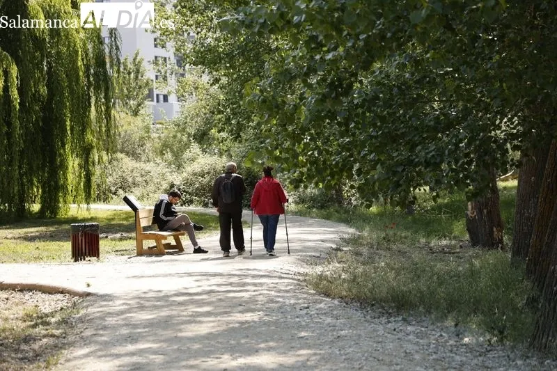Transformación del Parque Botánico de Huerta Otea en un Centro Ambiental Integrado de energías renovables. Foto de David Sañudo