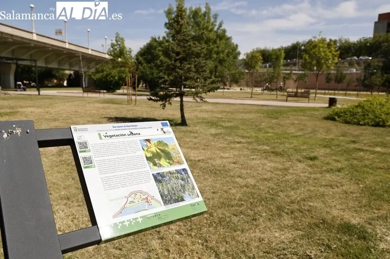 Transformación del Parque Botánico de Huerta Otea en un Centro Ambiental Integrado de energías renovables. Foto de David Sañudo