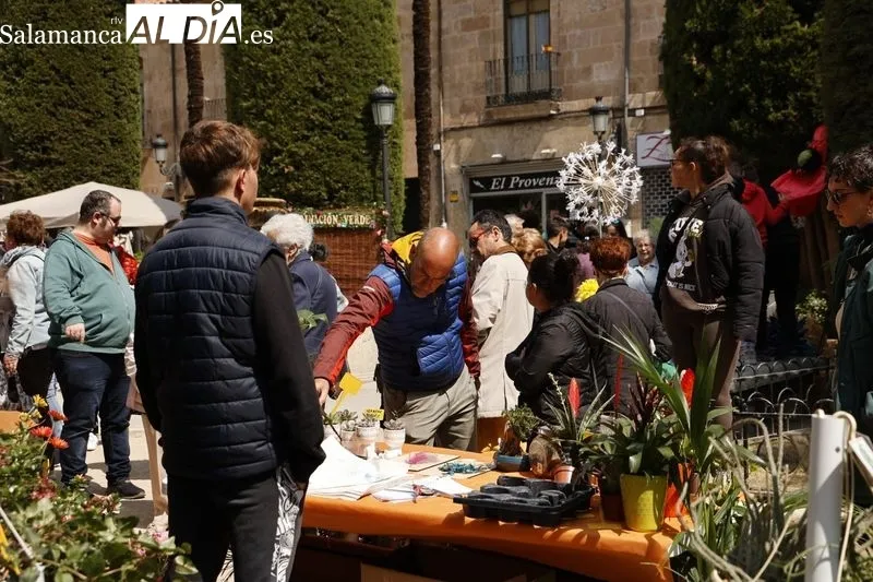 Mercado de las Flores en Salamanca. Foto de David Sañudo