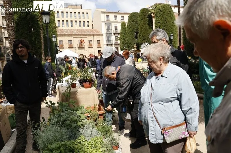 Mercado de las Flores en Salamanca. Foto de David Sañudo