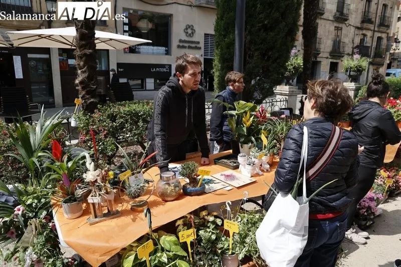 Mercado de las Flores en Salamanca. Foto de David Sañudo
