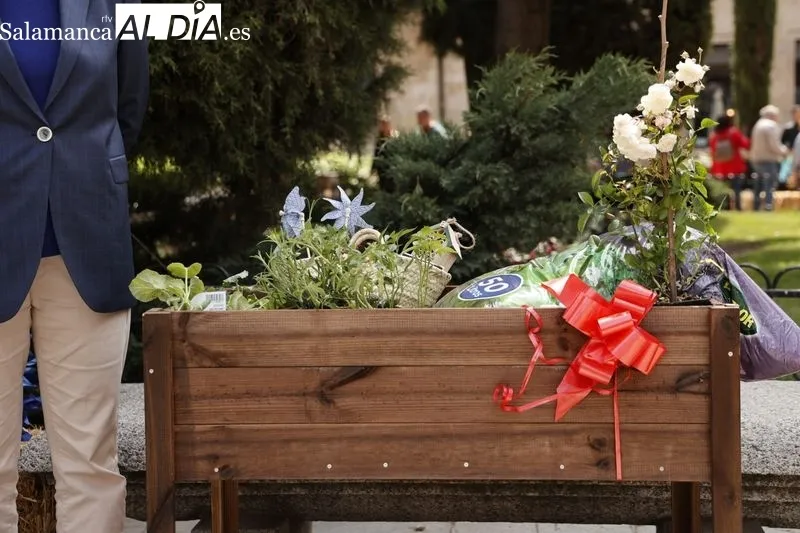 Mercado de las Flores en Salamanca. Foto de David Sañudo