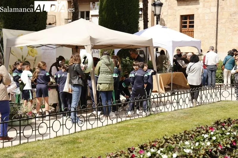 Mercado de las Flores en Salamanca. Foto de David Sañudo