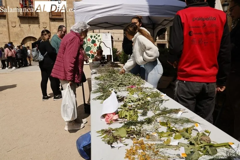 Mercado de las Flores en Salamanca. Foto de David Sañudo
