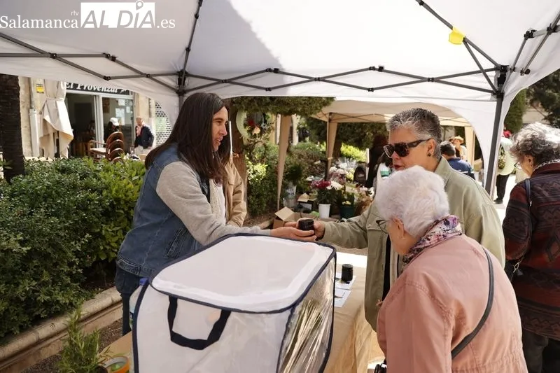 Mercado de las Flores en Salamanca. Foto de David Sañudo