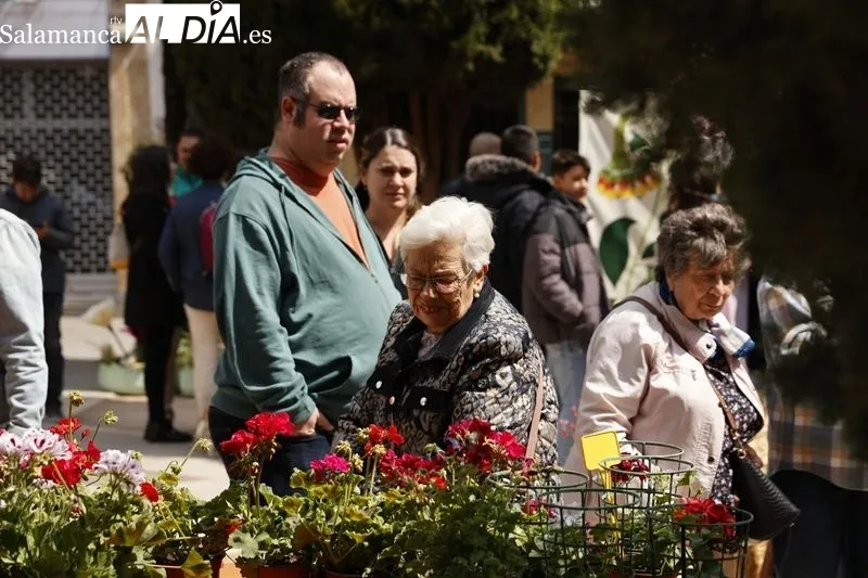 Mercado de las Flores en Salamanca. Foto de David Sañudo
