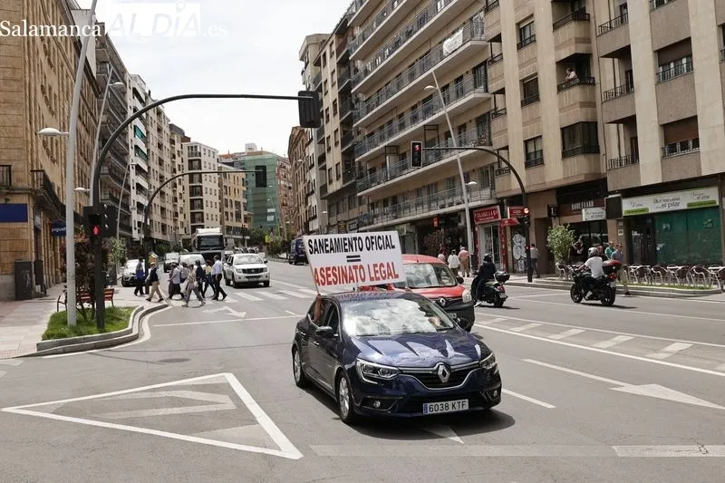 Manifestación motorizada de ganaderos en Salamanca. Foto de David Sañudo