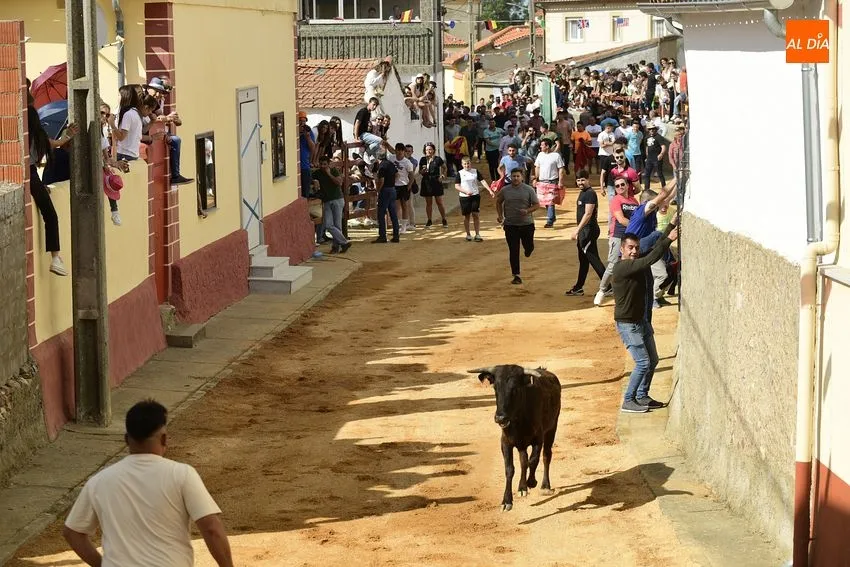 Jornada taurina en las fiestas de Bocacara/ Fotos: Adrián M.Pastor