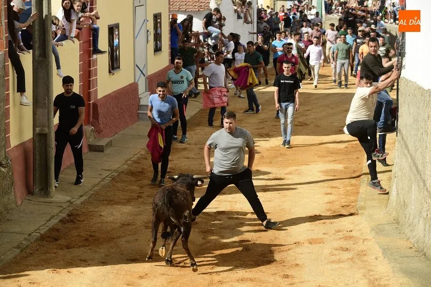 Jornada taurina en las fiestas de Bocacara/ Fotos: Adrián M.Pastor