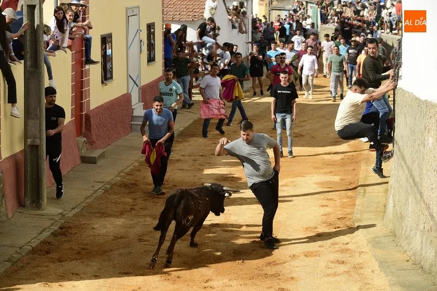 Jornada taurina en las fiestas de Bocacara/ Fotos: Adrián M.Pastor