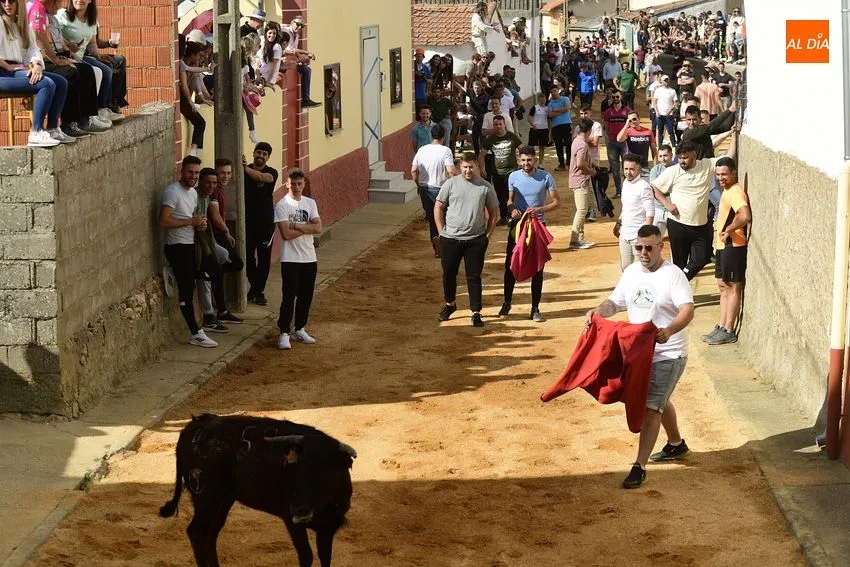 Jornada taurina en las fiestas de Bocacara/ Fotos: Adrián M.Pastor