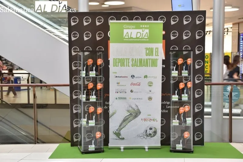 Trofeos de la I Gala AL DÍA 'Con el deporte salmantino' expuestos en la planta baja del Centro Comercial El Tormes, junto al Mercadona