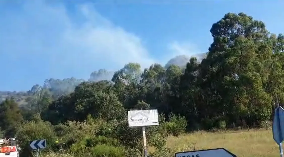 Foto 4 - Registrado un incendio forestal de origen intencionado en Serradilla del Llano