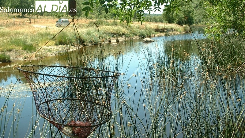 Arranca la temporada de pesca de cangrejos en Castilla y León  