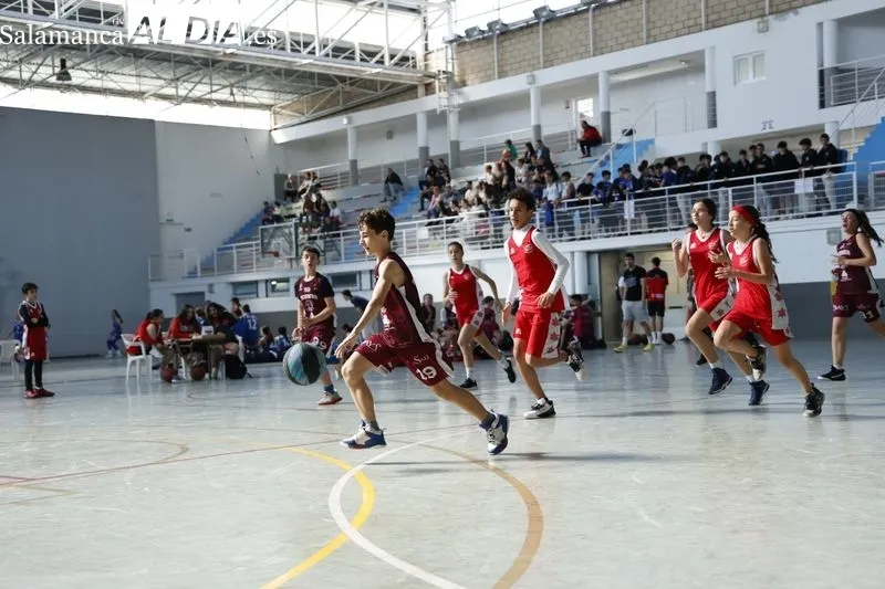 Galería de imágenes del torneo / Fotos: David Sañudo