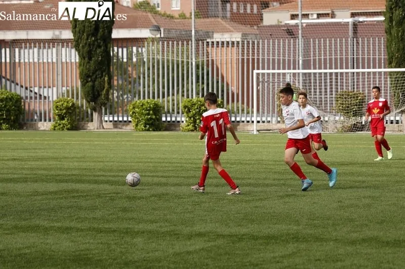 Galería de imágenes del torneo / Fotos: David Sañudo