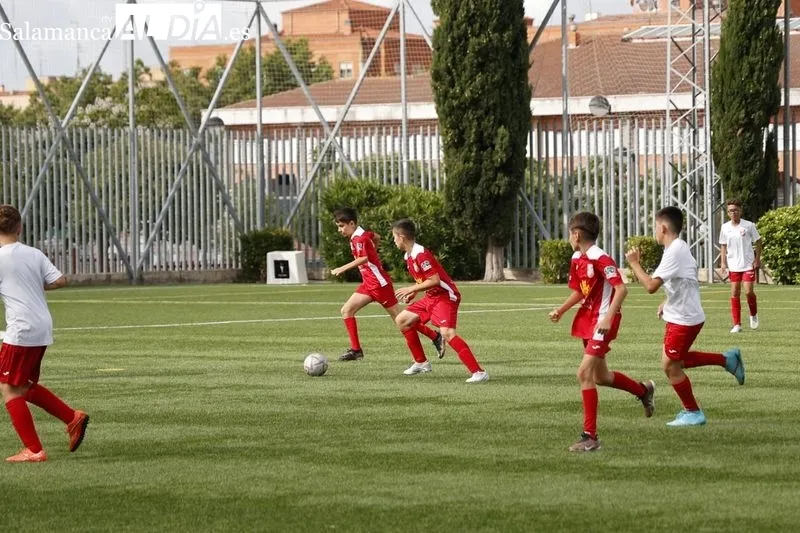 Galería de imágenes del torneo / Fotos: David Sañudo
