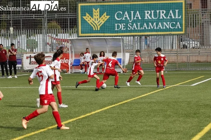 Galería de imágenes del torneo / Fotos: David Sañudo