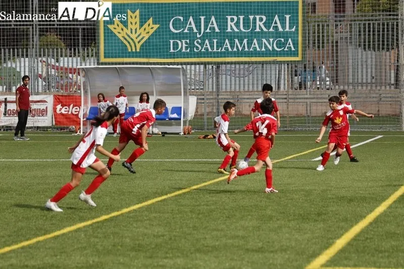 Galería de imágenes del torneo / Fotos: David Sañudo