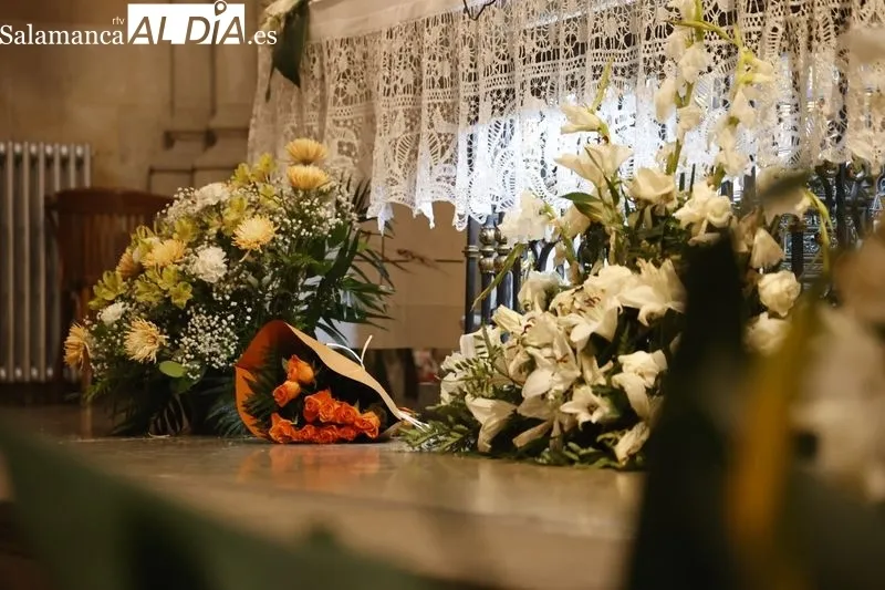 Ofrenda Floral a San Juan de Sahagún. Fotos: David Sañudo