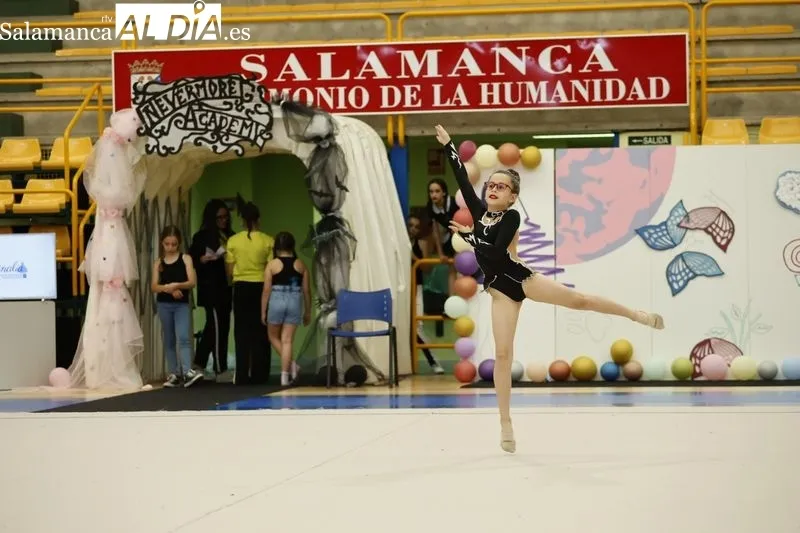 Galería de imágenes del torneo / Fotos: David Sañudo