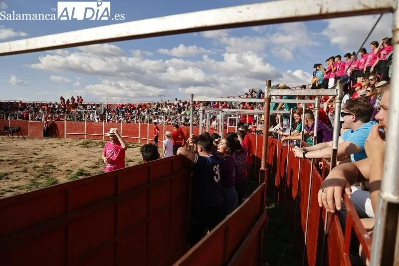 Capea y exhibición de recortes en Villares de la Reina. Fotos: David Sañudo