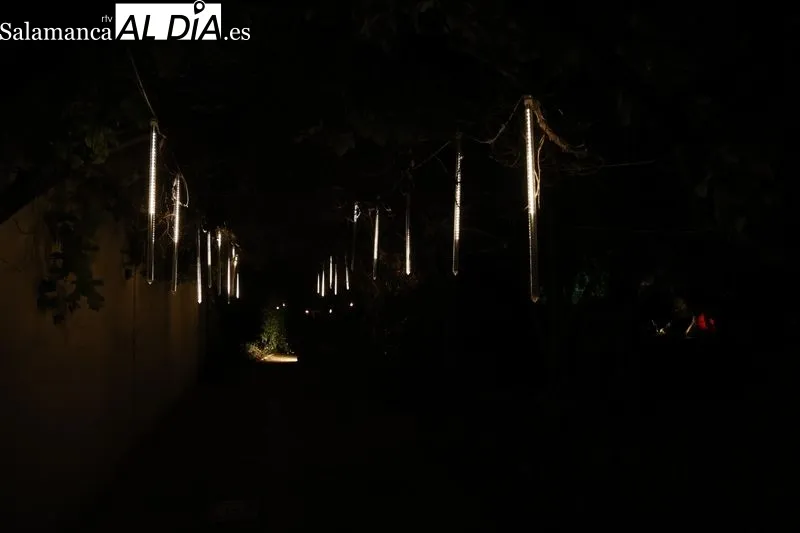 Foto 3 - Largas colas para disfrutar del &uacute;ltimo d&iacute;a del espect&aacute;culo de luz, arte y nuevas tecnolog&iacute;as en el Huerto de Calixto y Melibea