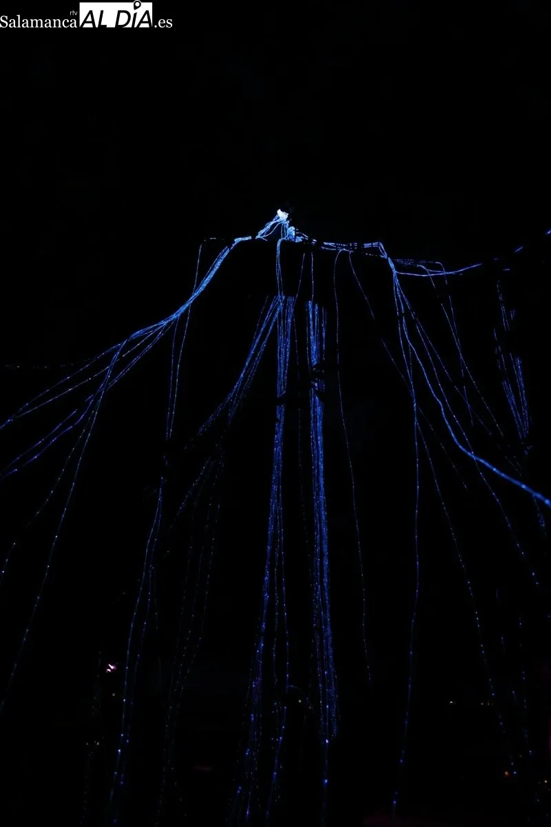 Foto 2 - Largas colas para disfrutar del &uacute;ltimo d&iacute;a del espect&aacute;culo de luz, arte y nuevas tecnolog&iacute;as en el Huerto de Calixto y Melibea