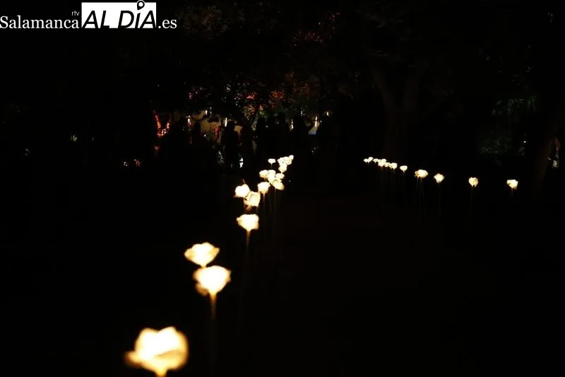 Foto 4 - Largas colas para disfrutar del &uacute;ltimo d&iacute;a del espect&aacute;culo de luz, arte y nuevas tecnolog&iacute;as en el Huerto de Calixto y Melibea