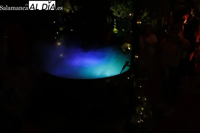 Foto 6 - Largas colas para disfrutar del &uacute;ltimo d&iacute;a del espect&aacute;culo de luz, arte y nuevas tecnolog&iacute;as en el Huerto de Calixto y Melibea