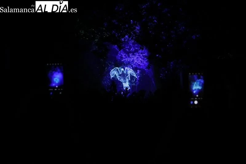 Foto 7 - Largas colas para disfrutar del &uacute;ltimo d&iacute;a del espect&aacute;culo de luz, arte y nuevas tecnolog&iacute;as en el Huerto de Calixto y Melibea