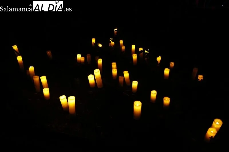Foto 10 - Largas colas para disfrutar del &uacute;ltimo d&iacute;a del espect&aacute;culo de luz, arte y nuevas tecnolog&iacute;as en el Huerto de Calixto y Melibea