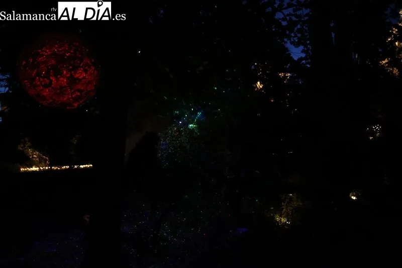 Foto 14 - Largas colas para disfrutar del &uacute;ltimo d&iacute;a del espect&aacute;culo de luz, arte y nuevas tecnolog&iacute;as en el Huerto de Calixto y Melibea