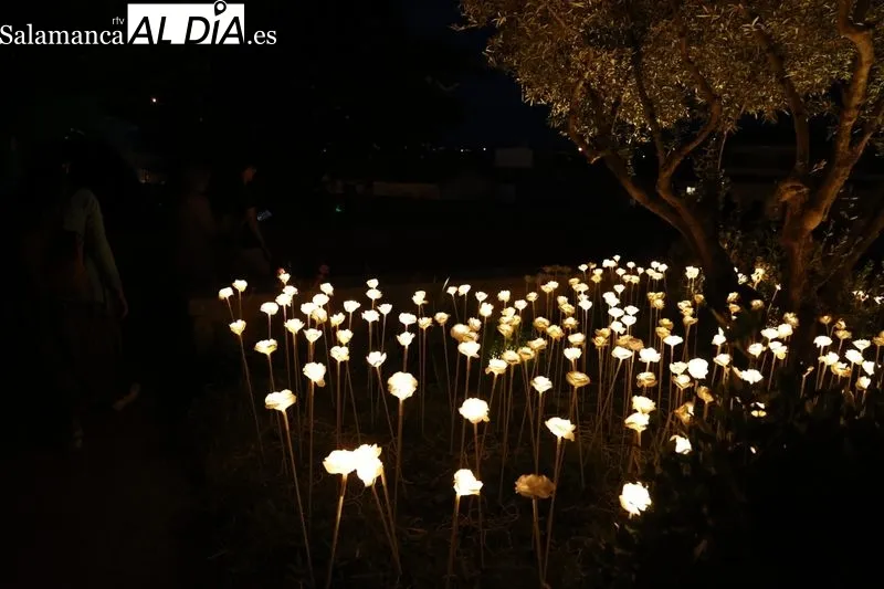 Foto 16 - Largas colas para disfrutar del &uacute;ltimo d&iacute;a del espect&aacute;culo de luz, arte y nuevas tecnolog&iacute;as en el Huerto de Calixto y Melibea
