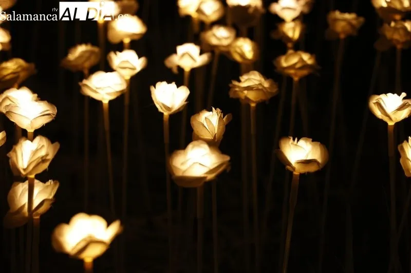 Foto 17 - Largas colas para disfrutar del &uacute;ltimo d&iacute;a del espect&aacute;culo de luz, arte y nuevas tecnolog&iacute;as en el Huerto de Calixto y Melibea