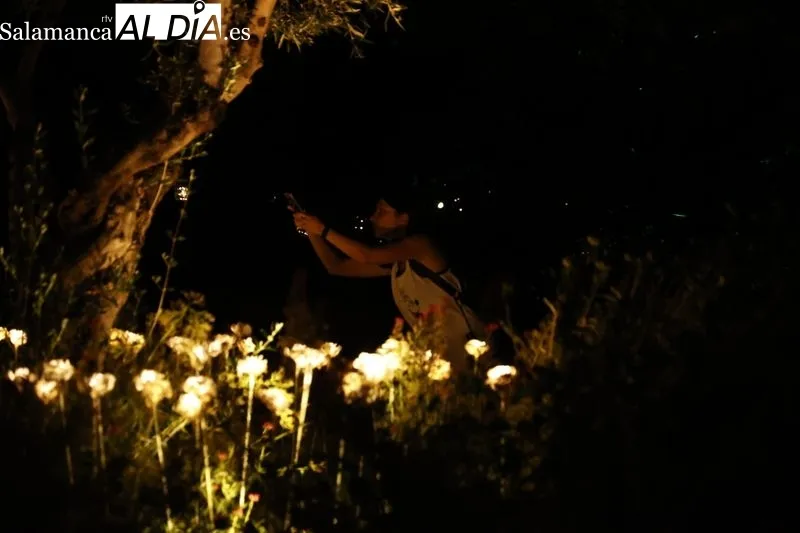 Foto 18 - Largas colas para disfrutar del &uacute;ltimo d&iacute;a del espect&aacute;culo de luz, arte y nuevas tecnolog&iacute;as en el Huerto de Calixto y Melibea