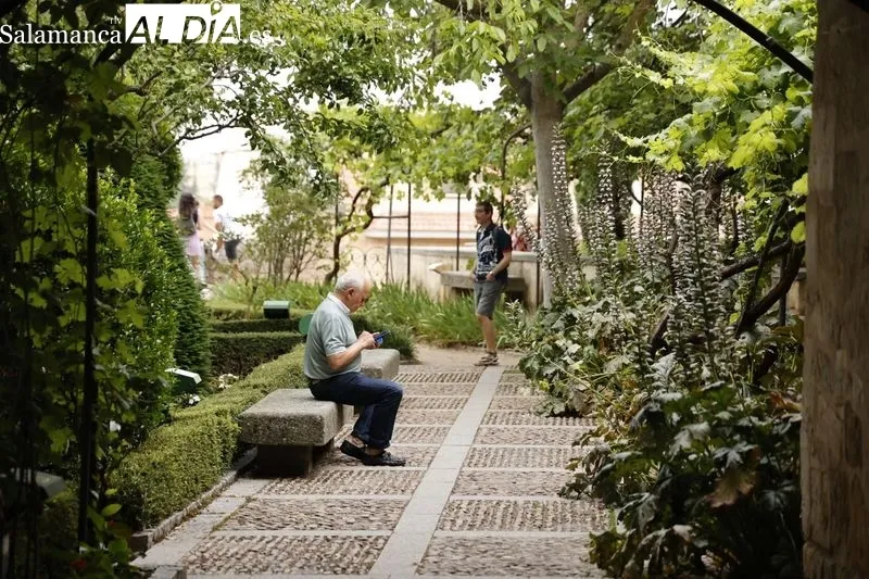 Foto 10 - Gran ambiente en el centro de la ciudad en un domingo muy tur&iacute;stico
