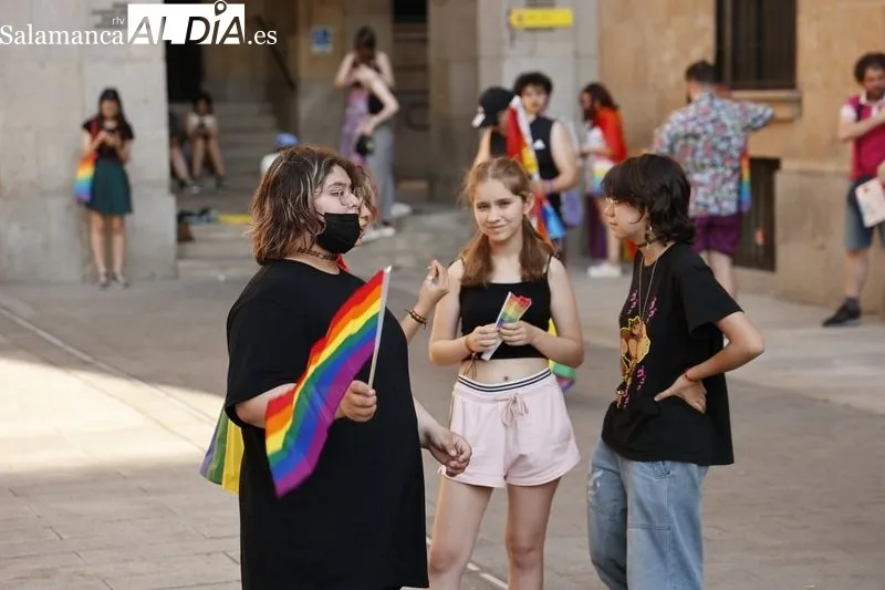 Foto 7 - Manifestaci&oacute;n: la Gran V&iacute;a se llena de banderas LGTBI+