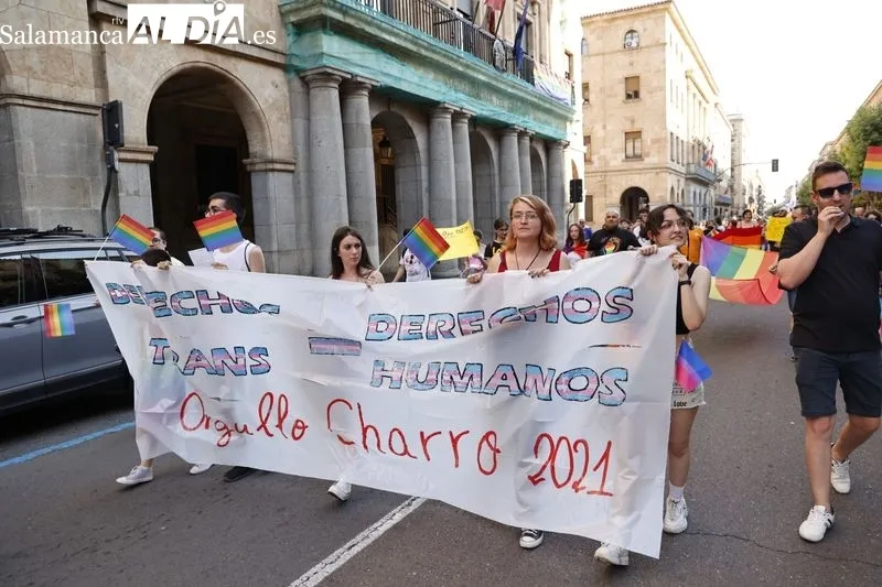 Foto 11 - Manifestaci&oacute;n: la Gran V&iacute;a se llena de banderas LGTBI+