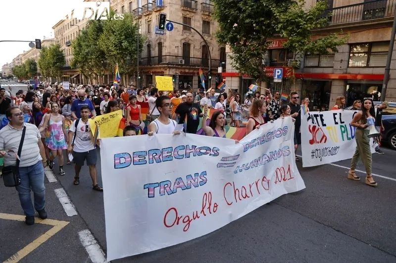 Foto 17 - Manifestaci&oacute;n: la Gran V&iacute;a se llena de banderas LGTBI+