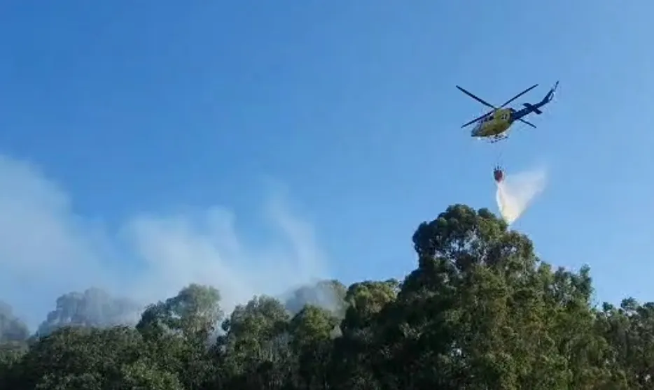 Foto 5 - Registrado un incendio forestal de origen intencionado en Serradilla del Llano