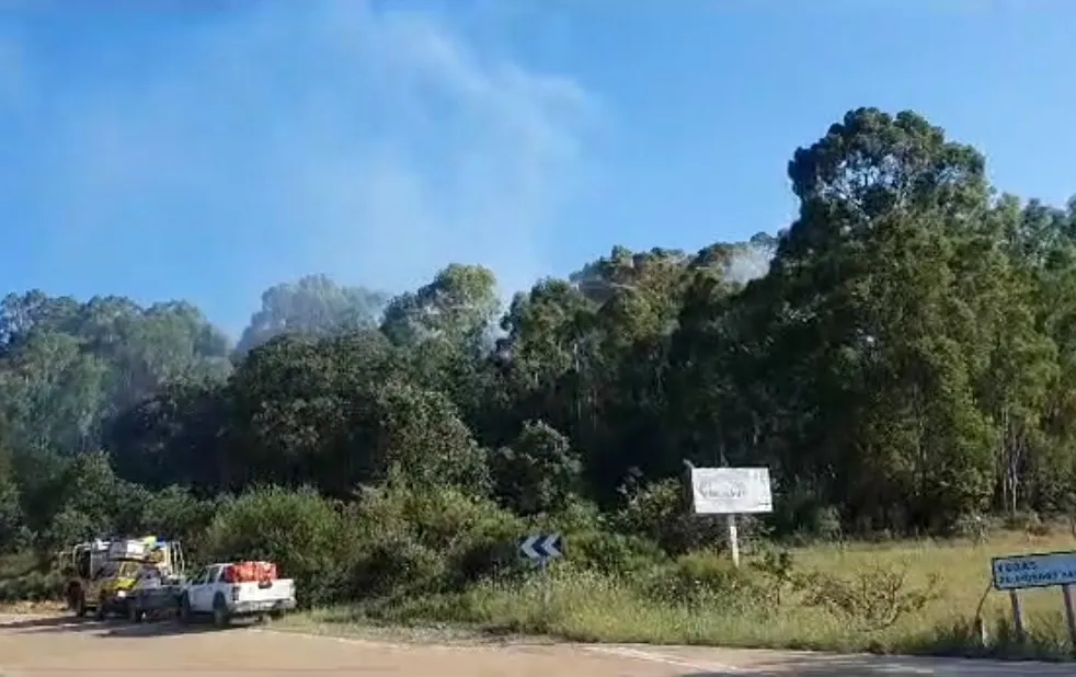 Foto 2 - Registrado un incendio forestal de origen intencionado en Serradilla del Llano