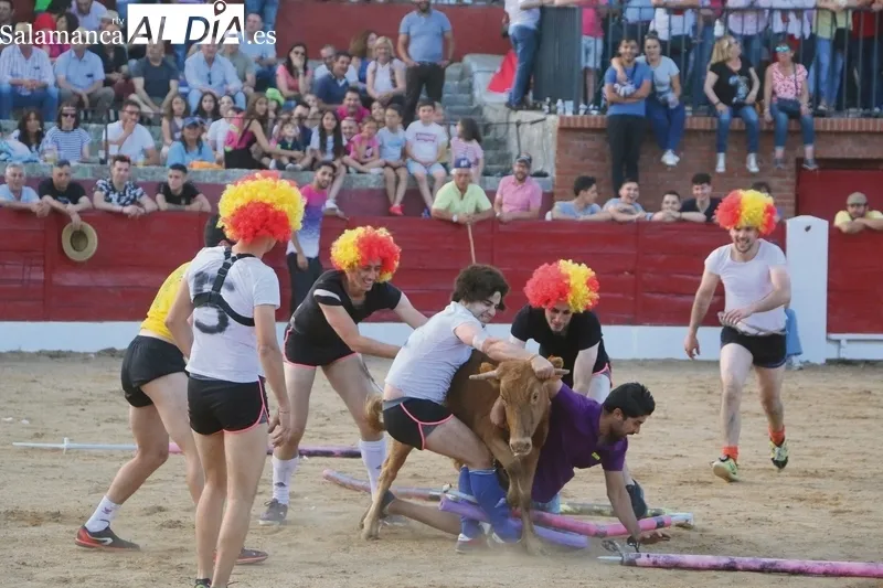 Vitigudino vivirá del 6 al 11 de junio 'los Corpus del toro' / CORRAL