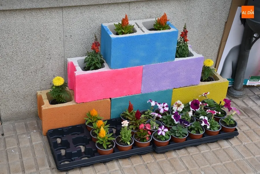Foto 4 - La calle San Juan gana el 3&ordm; Concurso Floral de Primavera