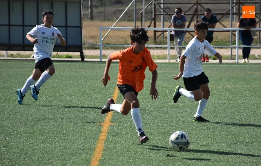 Foto 4 - Alevines y benjamines del Ciudad Rodrigo CF protagonizan el final definitivo de la temporada futbolera