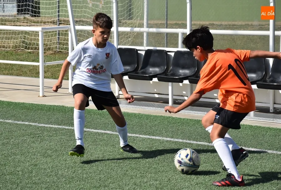 Foto 5 - Alevines y benjamines del Ciudad Rodrigo CF protagonizan el final definitivo de la temporada futbolera